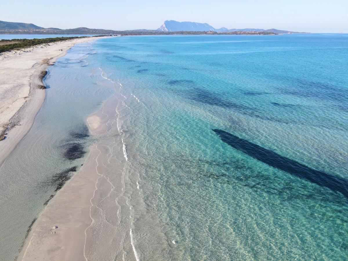 Iss Travel, Gli Asfodeli - Large Apartments With Private Terrace San Teodoro  Dış mekan fotoğraf